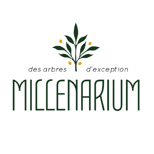 Logo Millenarium